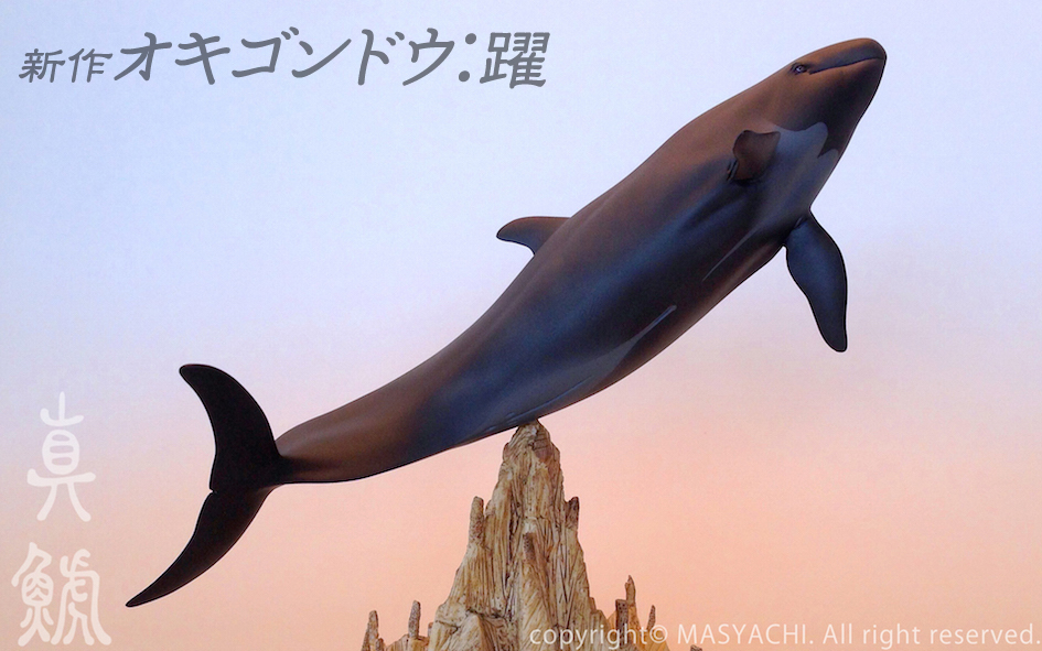 新作オキゴンドウ：躍